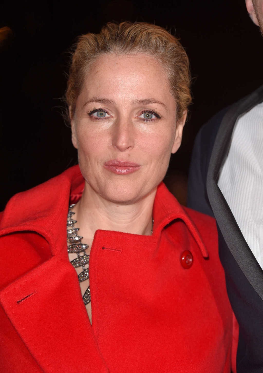 Gillian Anderson 794